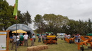 Fiesta de la cebolla