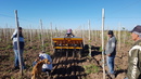 Sembradora de pasturas SP9